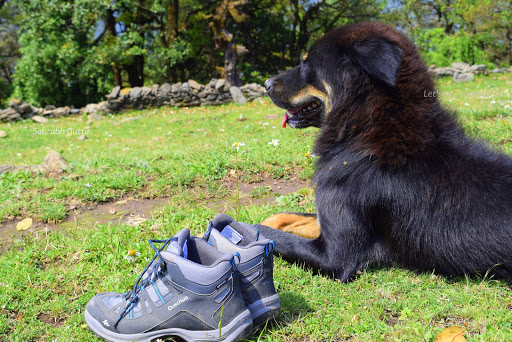 The Goat Village &amp; Nag Tibba trek